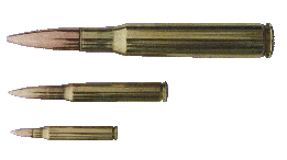 .223, 30-06, .50BMG